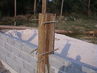 Filename=DSC00039~0.jpg
Filesize=97KiB
Dimensions=640x480
Date added=Sep 28, 2011 DSC00039~0.jpg