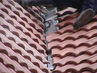 Filename=DSC02019.jpg
Filesize=131KiB
Dimensions=640x480
Date added=Sep 27, 2011 DSC02019.jpg