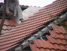 DSC02081~0.jpg
