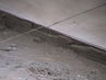 Filename=DSC02114.jpg
Filesize=81KiB
Dimensions=640x480
Date added=Sep 27, 2011 DSC02114.jpg