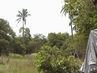 Filename=DSC02119.jpg
Filesize=126KiB
Dimensions=640x480
Date added=Sep 28, 2011 DSC02119.jpg