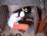 Filename=DSC04045~0.jpg
Filesize=117KiB
Dimensions=640x480
Date added=Sep 28, 2011 DSC04045~0.jpg