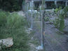 Filename=DSC04110.jpg
Filesize=136KiB
Dimensions=640x480
Date added=Sep 28, 2011 DSC04110.jpg