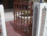 Filename=DSC05150.JPG
Filesize=86KiB
Dimensions=640x480
Date added=Sep 28, 2011 DSC05150.JPG