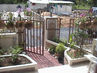 Filename=DSC05151~1.jpg
Filesize=155KiB
Dimensions=640x480
Date added=Sep 28, 2011 DSC05151~1.jpg