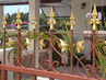 Filename=DSC05165.jpg
Filesize=144KiB
Dimensions=640x480
Date added=Sep 28, 2011 DSC05165.jpg