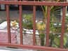 Filename=DSC05166.jpg
Filesize=140KiB
Dimensions=640x480
Date added=Sep 28, 2011 DSC05166.jpg