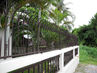 Filename=DSCN0369.jpg
Filesize=534KiB
Dimensions=1280x960
Date added=Sep 27, 2011 DSCN0369.jpg