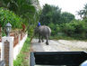 Filename=IMG_0286.jpg
Filesize=564KiB
Dimensions=1280x960
Date added=Sep 28, 2011 IMG_0286.jpg