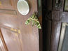 Filename=IMG_1075.jpg
Filesize=284KiB
Dimensions=1280x960
Date added=Sep 28, 2011 IMG_1075.jpg