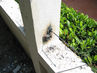 Filename=IMG_1302.jpg
Filesize=441KiB
Dimensions=1280x960
Date added=Sep 28, 2011 IMG_1302.jpg
