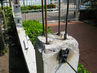 Filename=IMG_1303.jpg
Filesize=387KiB
Dimensions=1280x960
Date added=Sep 28, 2011 IMG_1303.jpg
