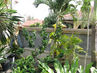 Filename=IMG_1317.jpg
Filesize=664KiB
Dimensions=1280x960
Date added=Sep 28, 2011 IMG_1317.jpg