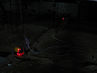 Filename=IMG_1600.jpg
Filesize=148KiB
Dimensions=1280x960
Date added=Sep 26, 2011 IMG_1600.jpg