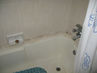 Filename=IMG_1657.jpg
Filesize=190KiB
Dimensions=1280x960
Date added=Sep 28, 2011 IMG_1657.jpg