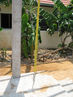 Filename=IMG_1837.jpg
Filesize=484KiB
Dimensions=960x1280
Date added=Sep 26, 2011 IMG_1837.jpg