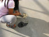 Filename=IMG_1875.jpg
Filesize=419KiB
Dimensions=1280x960
Date added=Sep 26, 2011 IMG_1875.jpg