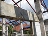 Filename=IMG_2003~0.jpg
Filesize=428KiB
Dimensions=1280x960
Date added=Sep 27, 2011 IMG_2003~0.jpg