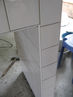 Filename=IMG_2363.jpg
Filesize=229KiB
Dimensions=960x1280
Date added=Sep 27, 2011 IMG_2363.jpg
