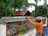 Filename=IMG_2475.jpg
Filesize=564KiB
Dimensions=1280x960
Date added=Sep 28, 2011 IMG_2475.jpg