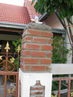 Filename=IMG_2547.jpg
Filesize=357KiB
Dimensions=960x1280
Date added=Sep 28, 2011 IMG_2547.jpg
