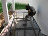 Filename=IMG_2549.jpg
Filesize=341KiB
Dimensions=1280x960
Date added=Sep 27, 2011 IMG_2549.jpg