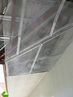 Filename=IMG_2553.jpg
Filesize=454KiB
Dimensions=960x1280
Date added=Sep 27, 2011 IMG_2553.jpg