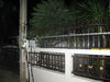 Filename=IMG_3231.jpg
Filesize=990KiB
Dimensions=1280x960
Date added=Sep 28, 2011 IMG_3231.jpg