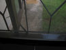 Filename=IMG_3321.jpg
Filesize=427KiB
Dimensions=1280x960
Date added=Sep 28, 2011 IMG_3321.jpg