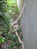 Filename=IMG_3338.jpg
Filesize=436KiB
Dimensions=960x1280
Date added=Sep 28, 2011 IMG_3338.jpg
