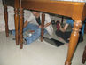 Filename=IMG_3436.jpg
Filesize=323KiB
Dimensions=1280x960
Date added=Sep 27, 2011 IMG_3436.jpg