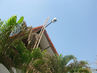Filename=IMG_3484.jpg
Filesize=332KiB
Dimensions=1280x960
Date added=Sep 27, 2011 IMG_3484.jpg