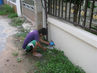 Filename=IMG_3756.jpg
Filesize=275KiB
Dimensions=1280x960
Date added=Sep 28, 2011 IMG_3756.jpg