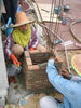 Filename=IMG_4660.jpg
Filesize=98KiB
Dimensions=480x640
Date added=Sep 27, 2011 IMG_4660.jpg