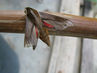 IMG_7830.jpg