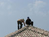 Filename=IMG_9177.jpg
Filesize=63KiB
Dimensions=800x600
Date added=Sep 27, 2011 IMG_9177.jpg