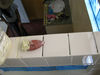 Filename=IMG_9770.jpg
Filesize=84KiB
Dimensions=800x600
Date added=Sep 27, 2011 IMG_9770.jpg