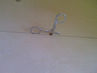 Filename=KSams-0052.jpg
Filesize=69KiB
Dimensions=800x600
Date added=Sep 28, 2011 KSams-0052.jpg