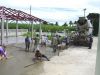 44_-_Garage_Paving_-_072608.JPG