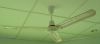 Filename=ceiling_fan.jpg
Filesize=19KiB
Dimensions=509x226
Date added=Feb 07, 2009 ceiling_fan.jpg