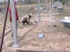 Filename=ground_beam_formwork.jpg
Filesize=90KiB
Dimensions=640x480
Date added=Feb 05, 2009 ground_beam_formwork.jpg