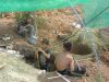 Filename=septic_holes.jpg
Filesize=251KiB
Dimensions=637x480
Date added=Apr 03, 2007 septic_holes.jpg