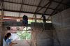 new_DSC_0374.jpg