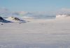 new_DSC_0491.jpg