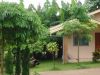 DSC01460.JPG