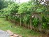 Filename=DSC01473.JPG
Filesize=75KiB
Dimensions=352x264
Date added=Jun 07, 2008 DSC01473.JPG