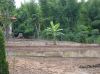 Filename=DSC01620.JPG
Filesize=168KiB
Dimensions=655x491
Date added=Aug 12, 2008 DSC01620.JPG