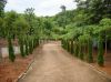 Filename=DSC01623.JPG
Filesize=159KiB
Dimensions=655x491
Date added=Aug 12, 2008 DSC01623.JPG