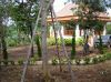 Filename=DSC01627.JPG
Filesize=197KiB
Dimensions=655x491
Date added=Aug 12, 2008 DSC01627.JPG
