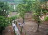 DSC01632.JPG